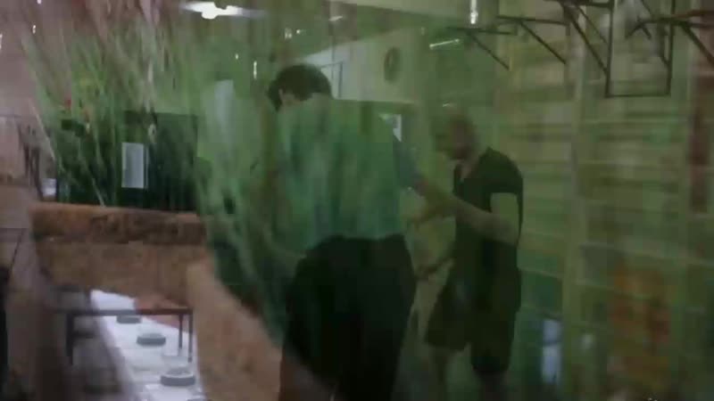 Володя Полевиков