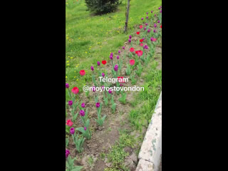 Возле Рио на Нагибина. Красота 😍 (видео)