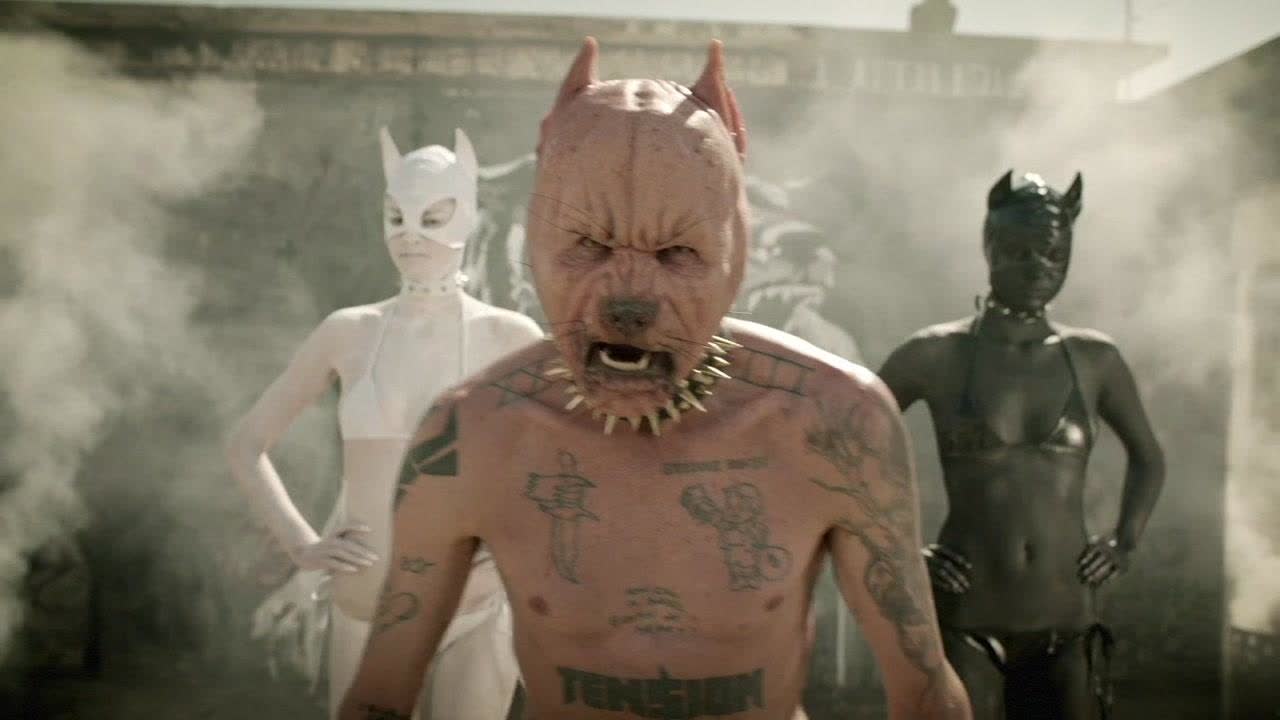 PITBULL TERRIER - Скачать видео ВК
