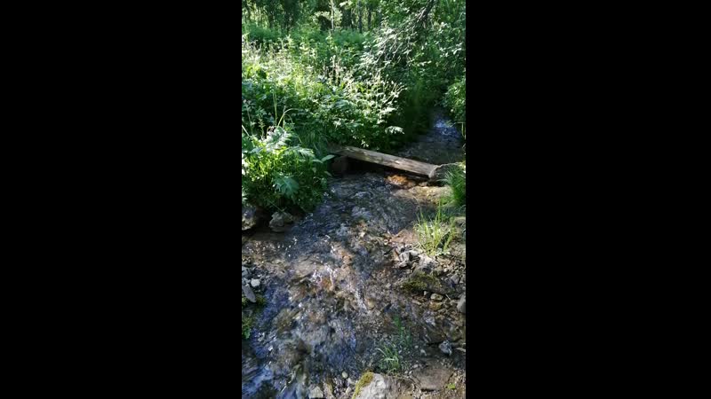 VID_20200618_081810.mp4