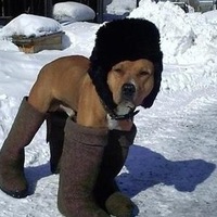 Аватар: Дмитрик Пяточкін
