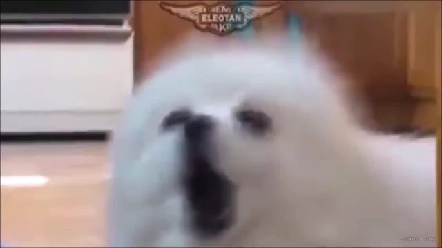 Naruto doggy style