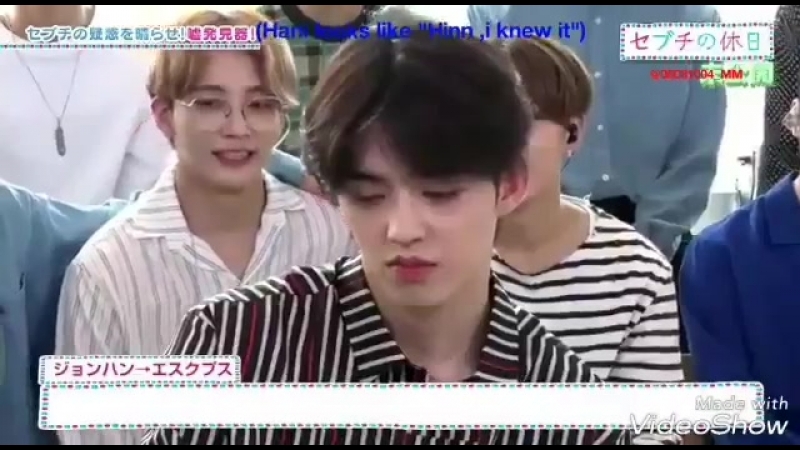 Scoups
