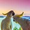 ГОРЯЩИЕ ТУРЫ туристическая фирма