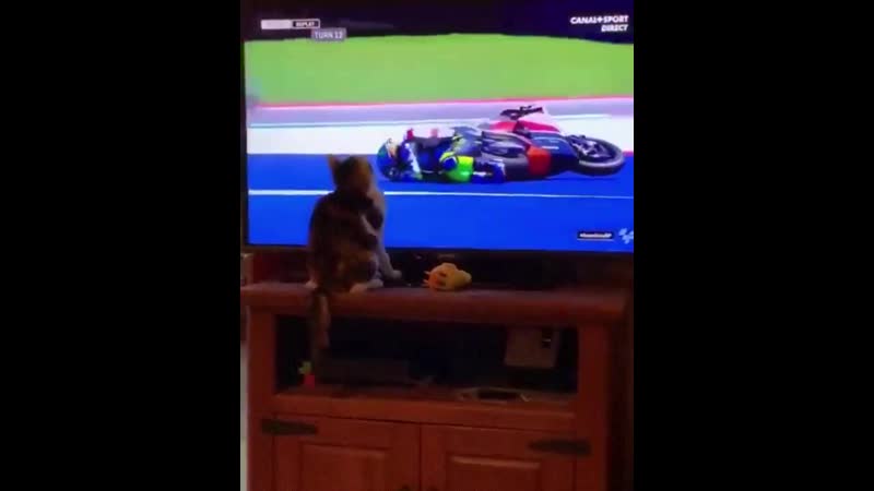 VID_20190417_171009_027.mp4