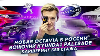 Асафьев Стас - Новая Skoda Octavia в России | Вонючий Hyundai Palisade | В каршеринг без стажа