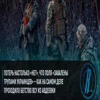 Объясняет Readovka [t.me]