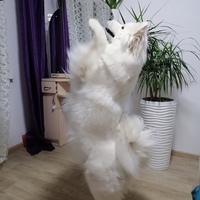 Фотография профиля Анны Юфы ВКонтакте